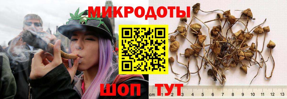 Галлюциногенные грибы Psilocybe  Вход с VPN  наркота  Люберцы 